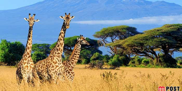 حقایق خط استوا و دانستنی های جالب درباره آن که نمی دانید 4 حقایق خط استوا