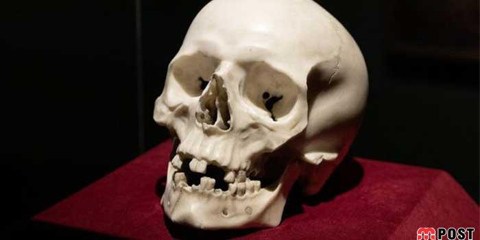 یک مجسمه جمجمه به عنوان اثری ارزشمند شناسایی شد 5 مجسمه جمجمه