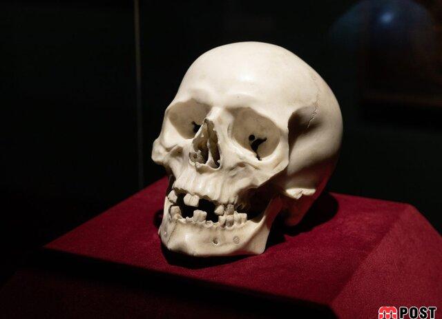 یک مجسمه جمجمه به عنوان اثری ارزشمند شناسایی شد 2 مجسمه جمجمه