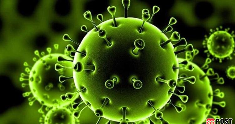 افشای چگونگی شایعهسازی وزارت خارجه آمریکا درباره شیوع کرونا از چین 9 کرونا