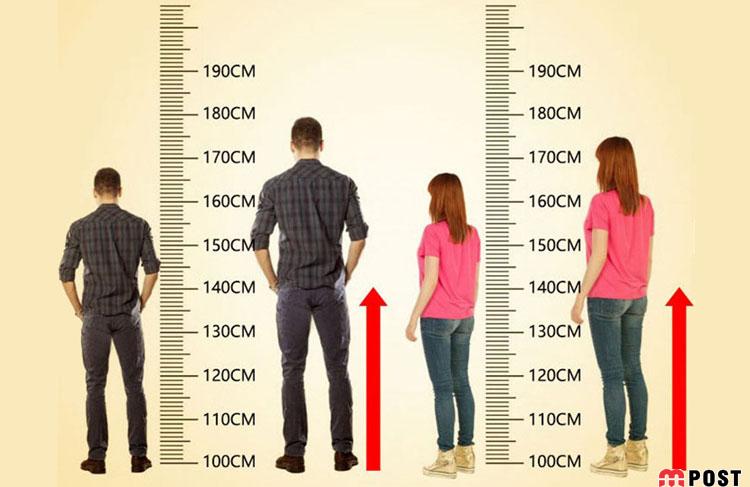 ۱۱ راز عجیب و علمی ارتباط قد و سلامتی و طول عمر ما انسان ها ؟! 1 ارتباط قد و سلامتی و طول عمر
