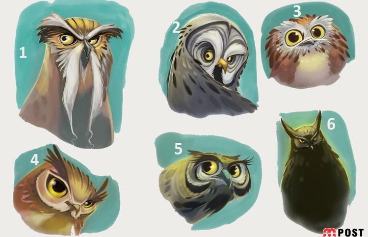 تست شخصیت شناسی با حس انتخاب تصویر جغد درون ؟! 1 تست شخصیت شناسی جغد