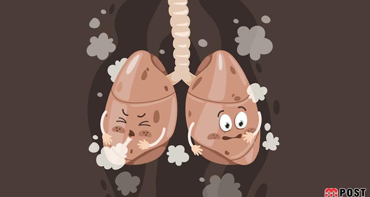 پاکسازی ریه از گرد و غبار و آلودگی های ناشی از ریزگردها به روشی ساده و کاربردی ؟ 11 پاکسازی ریه