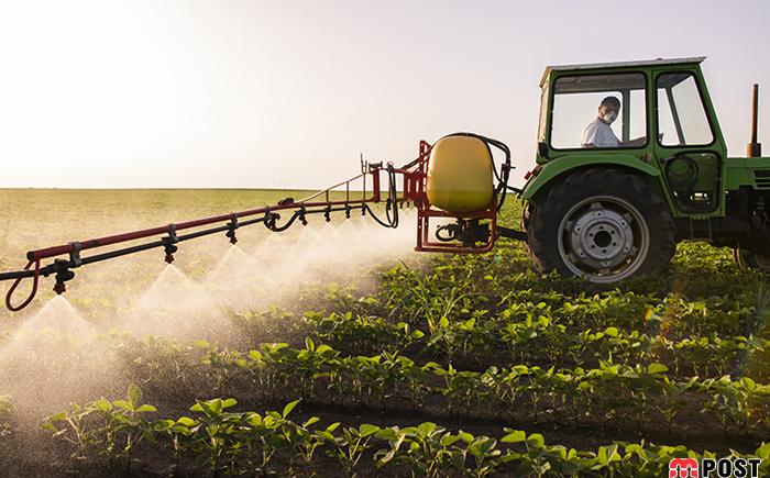 ادعای عجیب دانشمند برای حل مشکل غذای جهان با ادرار انسان ؟! 6 ادرار انسان