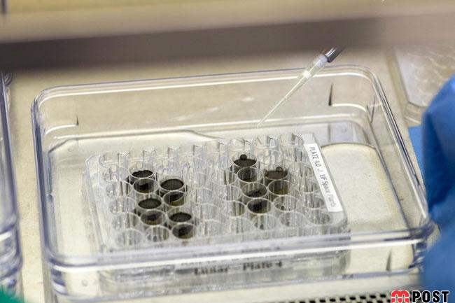 آزمایش موفق پرورش گیاه در خاک ماه توسط دانشمندان تایید شد + عکس 4 پرورش گیاه در خاک ماه