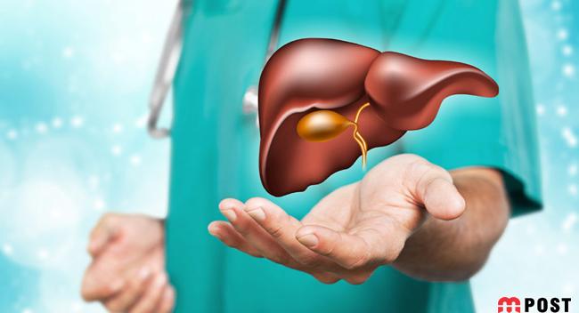 کیسه صفرا چه کار مفیدی و حیاتی در بدن انسان انجام می دهد؟ 7 کیسه صفرا