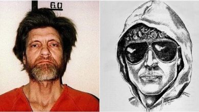 سرنوشت عجیب تئودور جان کازینسکی نابغه ریاضی که FBI بیش از 150 پژوهشگر را مامور شناساییاش کرد + عکس 1 تئودور جان کازینسکی نابغه ریاضی