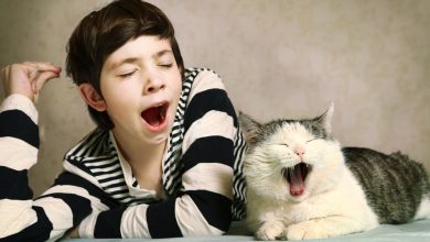 به این 4 دلیل علمی شما خمیازه Yawn بیش از حد می کشید ؟ 7 خمیازه