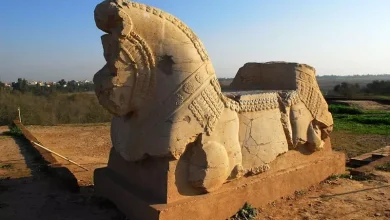 کاخ آپادانا