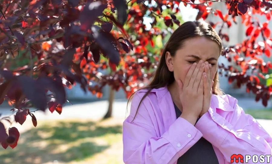 چگونه آلرژی های فصل پاییز را درمان کنیم؟ 1 آلرژی