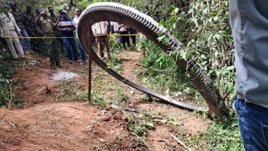 حلقه فلزی کنیا