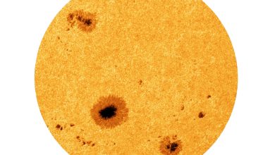 تصاویر 2025 از سطح خورشید