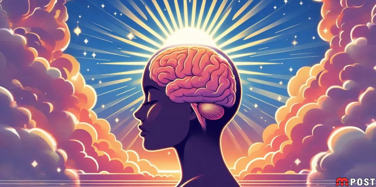 چه زمانی کنترل شناختی مغز انسان از دست می رود؟ 1 مغز انسان