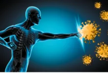 افزایش ایمنی بدن