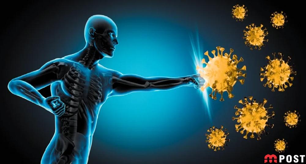 افزایش ایمنی بدن