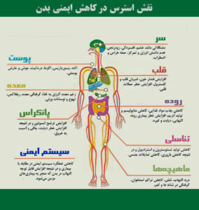 افزایش ایمنی بدن