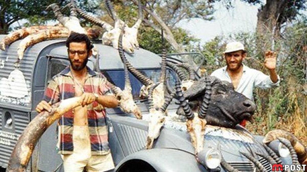 عیسی امیدوار