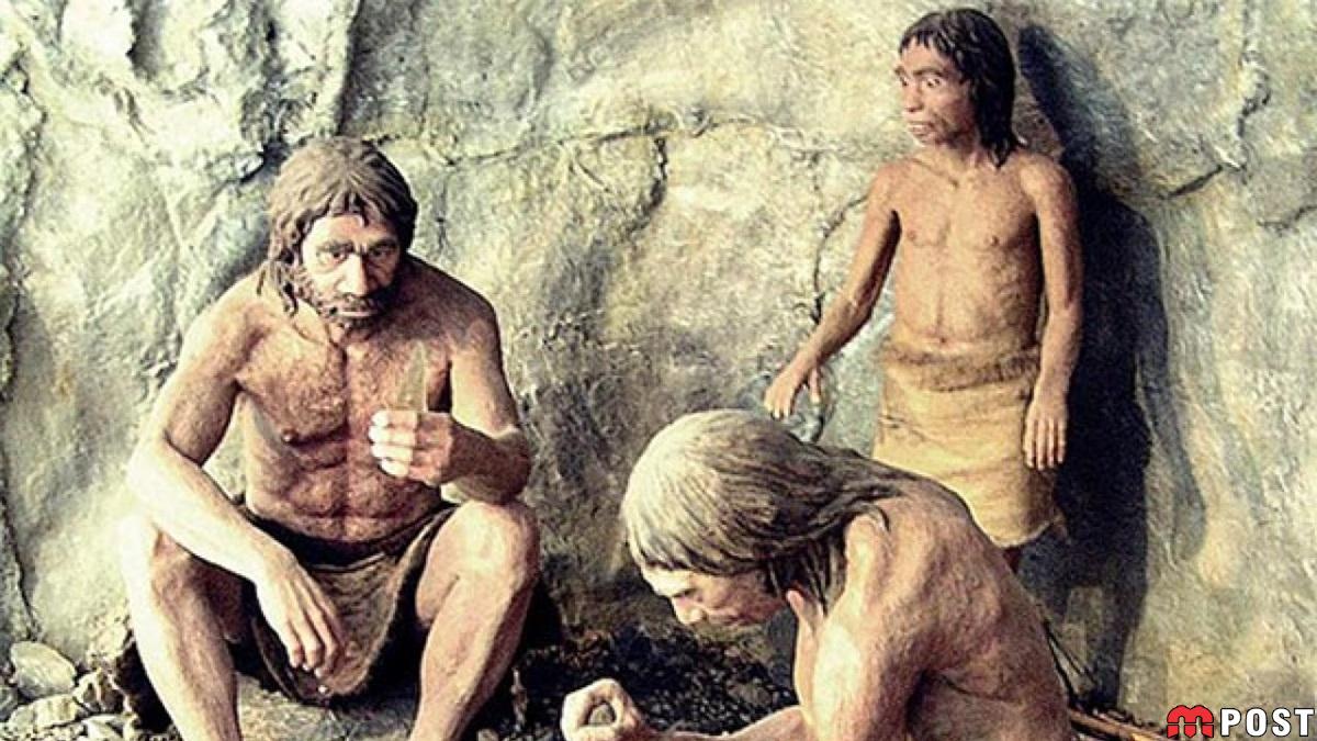 نئاندرتال ها Neanderthals