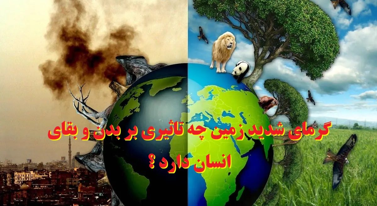 گرمای شدید زمین چه تاثیری بر بدن و بقای انسان دارد ؟