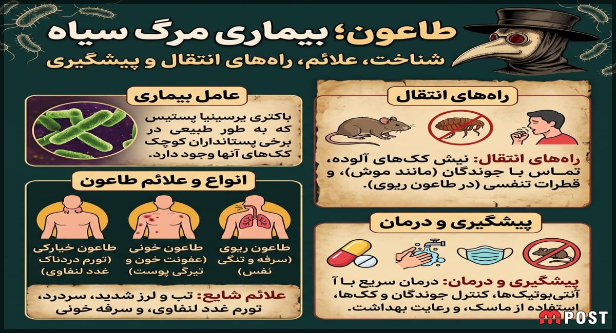 اینفوگرافی پیشگری از بیماری طاعون روسی